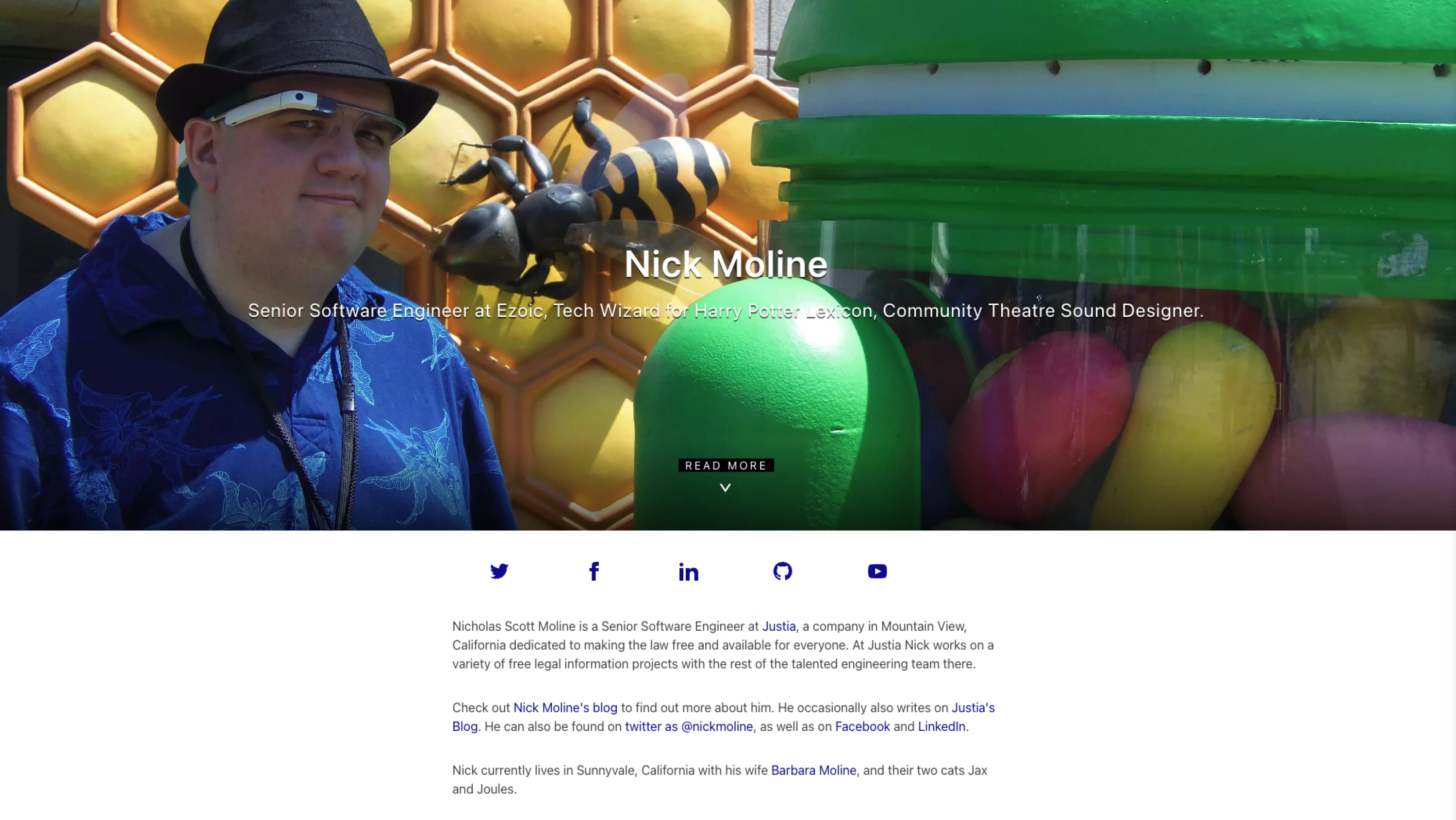 Screenshot of nickmoline.com